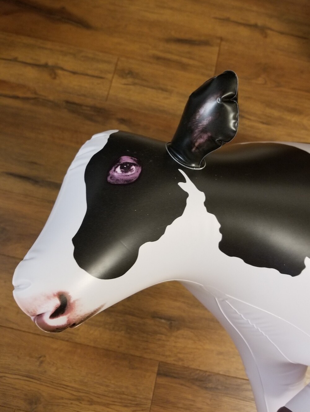 ❗XL Inflatable Cow❗ - Picture 3 of 4